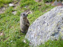 Sommerurlaub 2015 0149